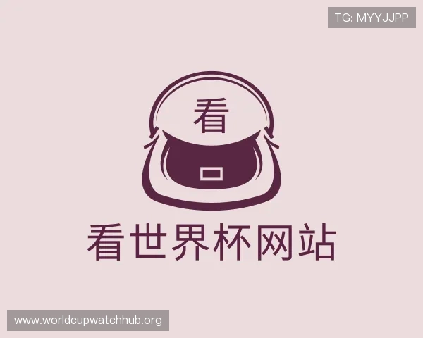 介绍看世界杯网站